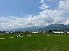 -喜林苑·稻田餐厅(品相府店)