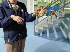 -上海大自然野生昆虫馆(东方明珠·爬宠昆虫探索中心)