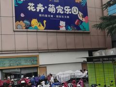 -星光城