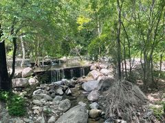 -玉渡山自然风景区