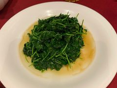 酒香豆苗-老吉士酒家(天平路店)