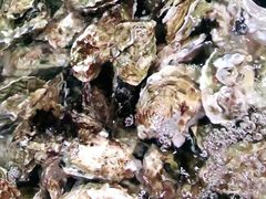-阔澜蒸汽海鲜自助
