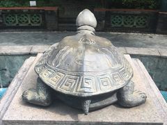 -广州神农草堂中医药博物馆