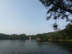 -紫霞湖公园