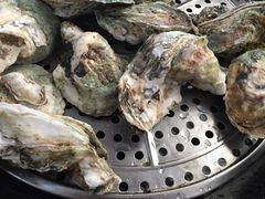 -蚝专家(北滘店)