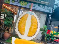-都念榴莲·城市榴莲