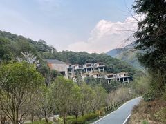 -宁海安岚·南溪阁全日餐厅