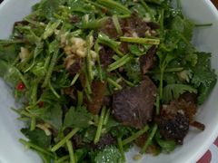 -全乐鱼馆·淳牌有机鱼直营店