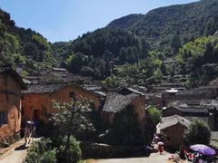 -杨家堂村