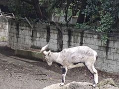 -石家庄市动物园