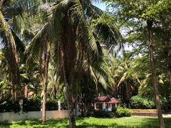 -三亚湾海居铂尔曼度假酒店