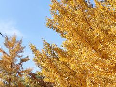 -辽宁大学(崇山校区)