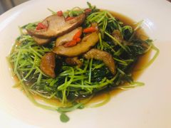 勤种善根牛肝菌拌豆苗-福慧慈缘素食餐厅(王府井店)