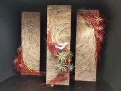 -上海鲜花港