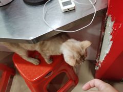 -胡椒猪肚汤(康王店)