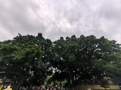 -桂林独秀峰王城景区