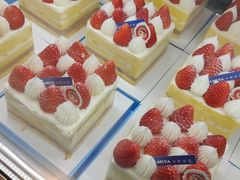 -卡萨米亚动物奶油生日蛋糕(新都汇店)