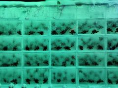 -石林冰雪海洋世界