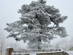 -秦岭终南山世界地质公园翠华山景区