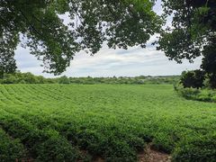 -敬亭山风景名胜区
