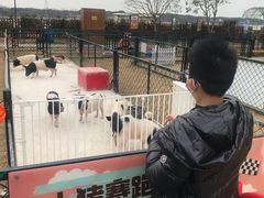 -太阳岛度假酒店