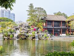 -顺峰山公园