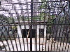 -广东茂名森林公园