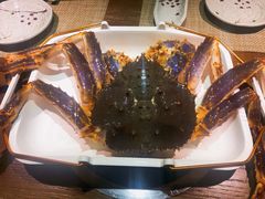 -蟹将军·松叶蟹和牛日料放题自助(K11店)