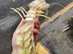 -蛇口市场