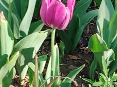 -长春公园(普阳街道)