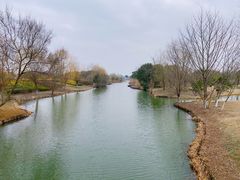 -梁鸿国家湿地公园