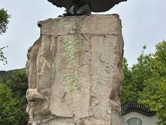 -北京鹫峰国家森林公园