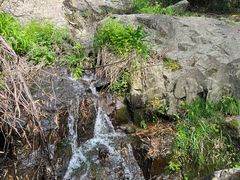 -藏龙百瀑风景区