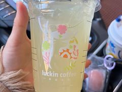 -瑞幸咖啡(大连罗斯福广场一层店)