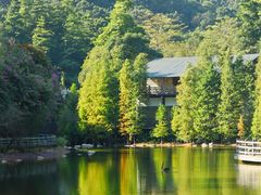 -广州市帽峰山景区