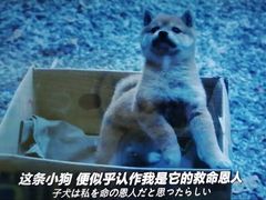 -学习谷日语培训日本留学·多语种外语教学(海淀人大分部)