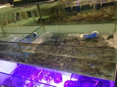 -多迷烫菜广场(水心大厦店)