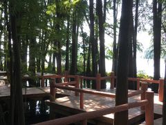 -东湖落雁景区