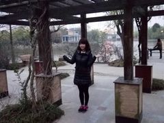 -紫薇公园
