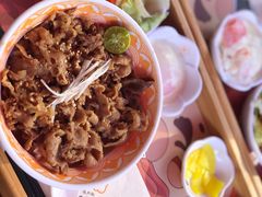 -桃花丼烧肉饭(凯丹商场店)