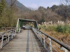 -西湖风景区-江洋畈生态公园