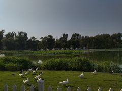 -长春市南湖公园