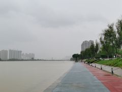 -渭滨公园