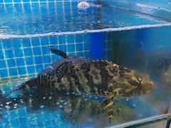 -前王院•巧克力海鲜市集餐厅(万平口店)