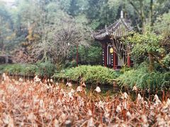 -三苏祠