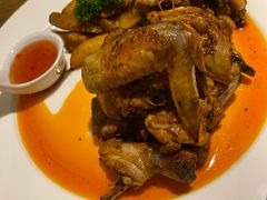 -百好乐宠物友好餐厅(朝外大街店)