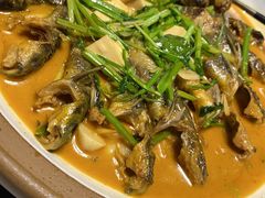 -红椒香·闽北光泽菜·宴请聚会(奥体店)