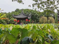 -丝绸小镇荻港古村