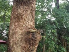 android_upload_pic-西湖茶墅