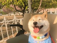 -京玉菲饭店(李村店)